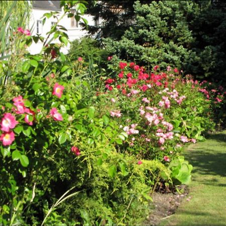 Au Jardin Des Deux Ponts Bed & Breakfast Abbeville Bagian luar foto