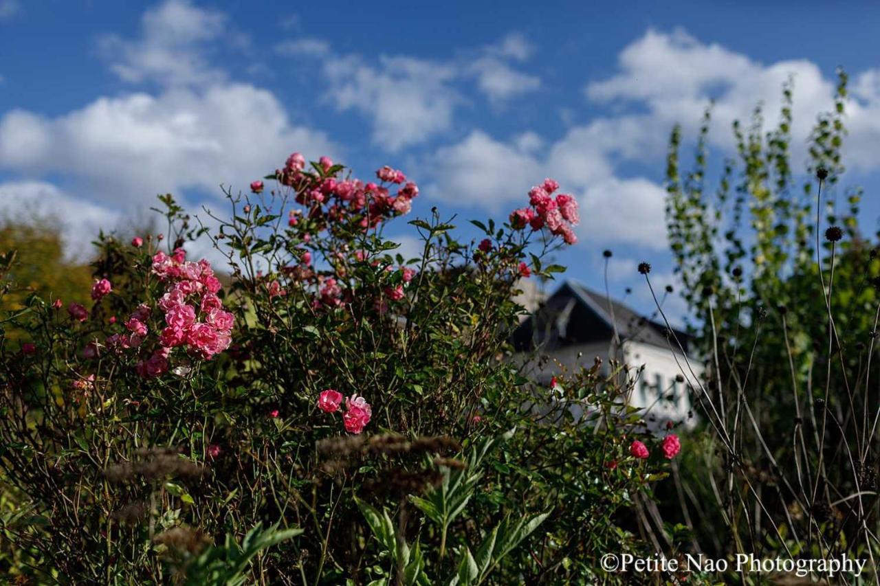 Au Jardin Des Deux Ponts Bed & Breakfast Abbeville Bagian luar foto