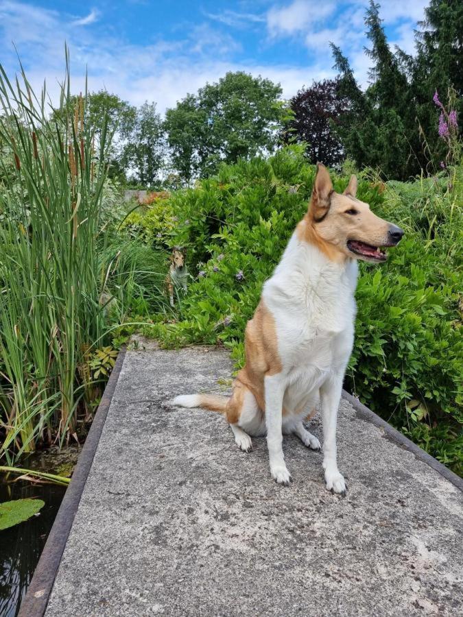 Au Jardin Des Deux Ponts Bed & Breakfast Abbeville Bagian luar foto