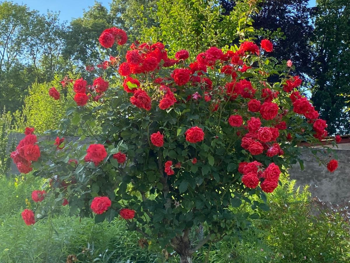 Au Jardin Des Deux Ponts Bed & Breakfast Abbeville Bagian luar foto